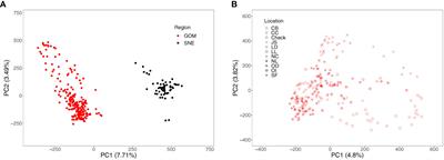 Genomic selection in algae with biphasic lifecycles: A Saccharina latissima (sugar kelp) case study